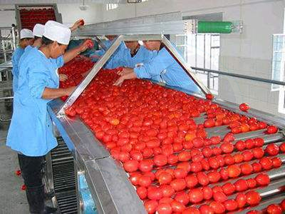 Commercial Tomato Paste Making Machine Ketchup Processing Line