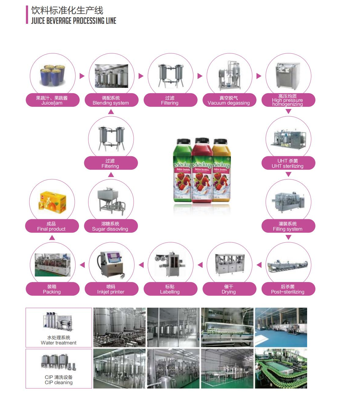 Juice Beverage Processing Line