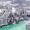 Pomegranate Juice Processing Line Manufacturer 