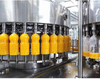 Pomegranate Juice Processing Line Manufacturer 