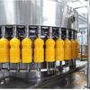 Commercial Grape Juice Processing Line