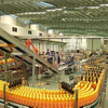 Mango Juice Processing Line for Sale