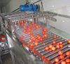 Commercial Tomato Paste Making Machine Ketchup Processing Line