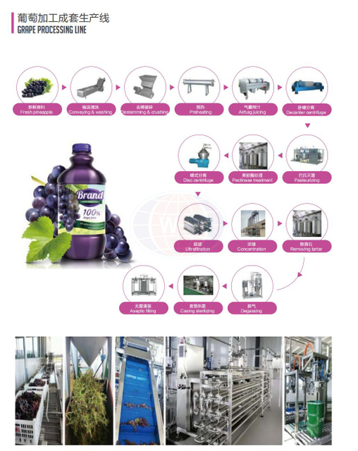 Intelligent Grape Juice Production Line
