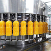 Intelligent Grape Juice Production Line