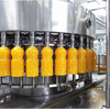 Automatic Pineapple Juice Production Line