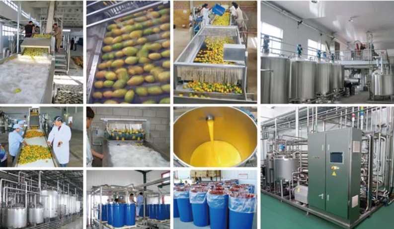 Fruit production line flow chart