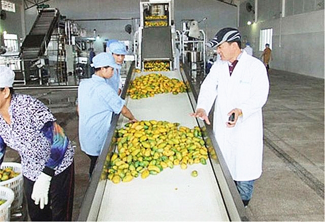 Fruit juice processing line