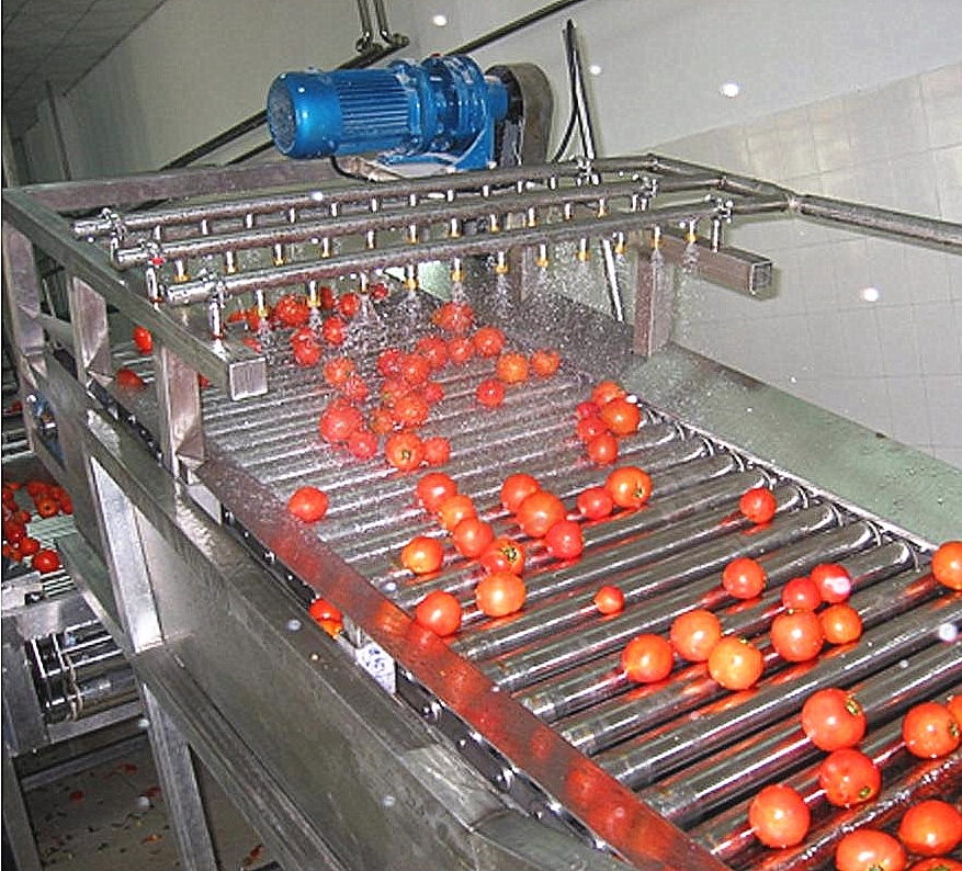 Industrial Tomato Processing Equipment